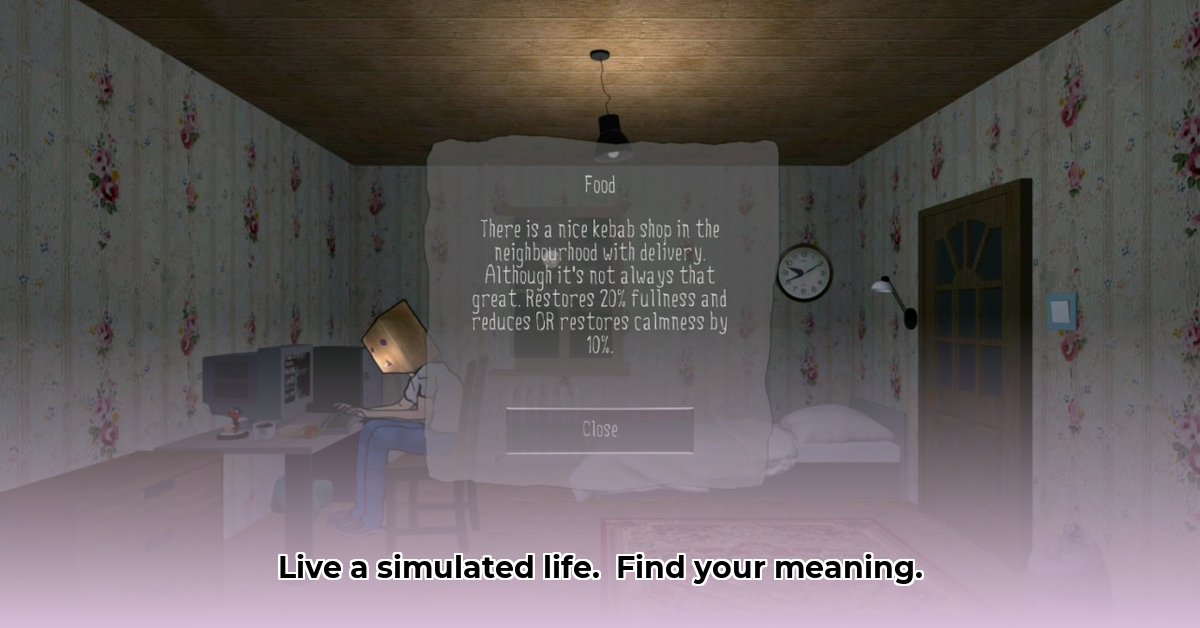 your-life-simulator